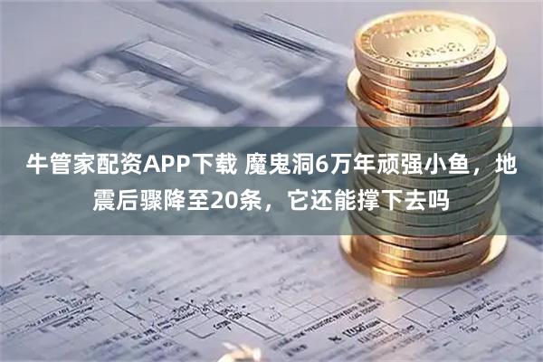 牛管家配资APP下载 魔鬼洞6万年顽强小鱼，地震后骤降至20条，它还能撑下去吗